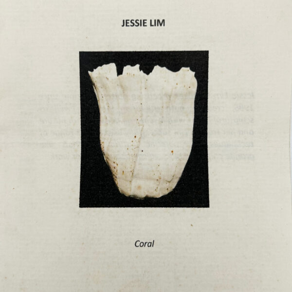 “Coral” vase in white glazed ceramic, Jessie Lim (b. 1954), circa 1990, view 7