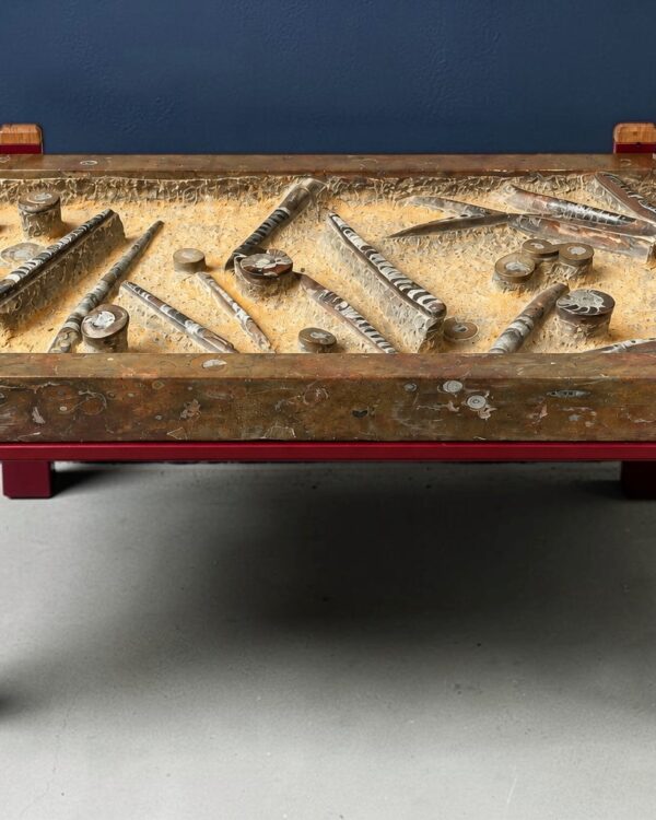Table basse en pierre fossilifère à orthocères, bois patiné et laqué rouge, 2020, vue 3